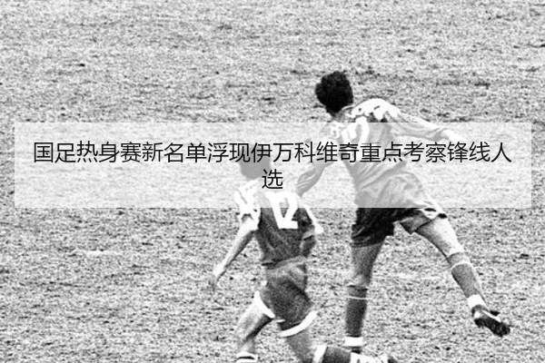 国足热身赛新名单浮现伊万科维奇重点考察锋线人选（MILANESPORTS）